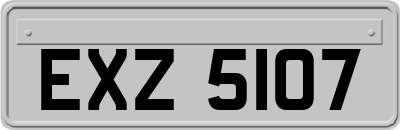 EXZ5107
