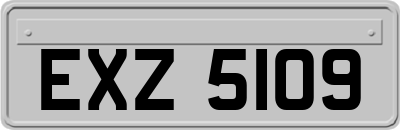 EXZ5109