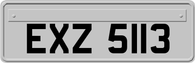 EXZ5113