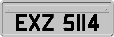 EXZ5114