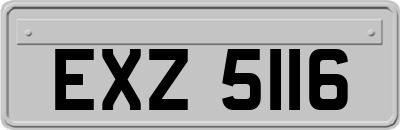 EXZ5116