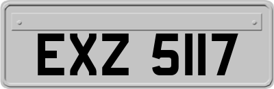 EXZ5117