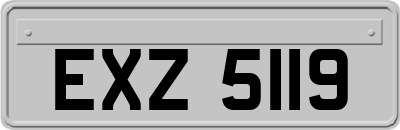 EXZ5119