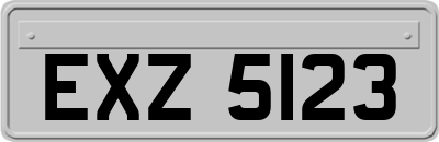 EXZ5123