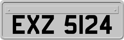 EXZ5124