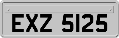EXZ5125