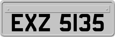 EXZ5135