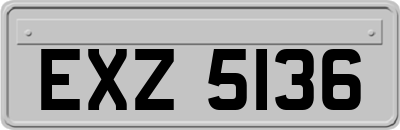 EXZ5136