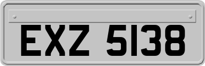 EXZ5138