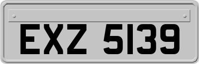 EXZ5139
