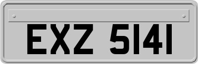 EXZ5141