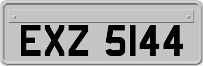 EXZ5144