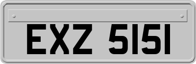 EXZ5151