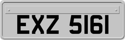 EXZ5161