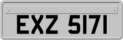 EXZ5171