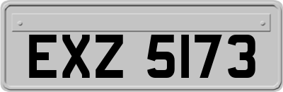 EXZ5173