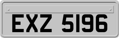 EXZ5196