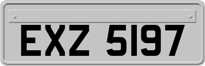 EXZ5197