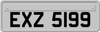 EXZ5199