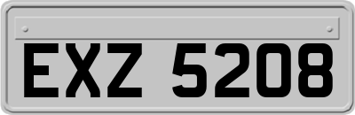 EXZ5208