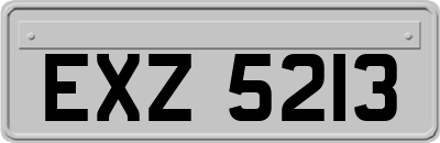 EXZ5213
