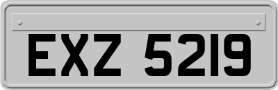 EXZ5219