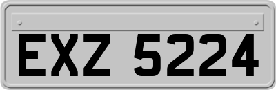 EXZ5224