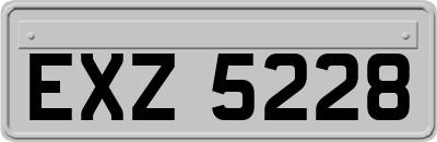 EXZ5228