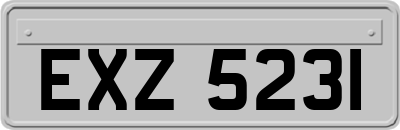 EXZ5231