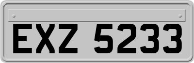 EXZ5233
