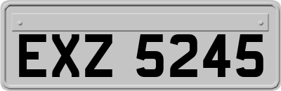 EXZ5245