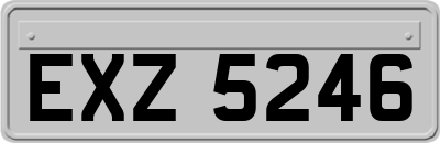 EXZ5246