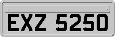 EXZ5250