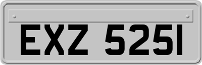 EXZ5251