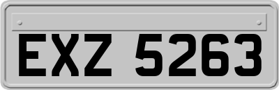 EXZ5263