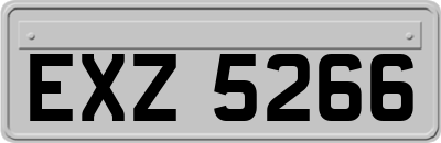 EXZ5266