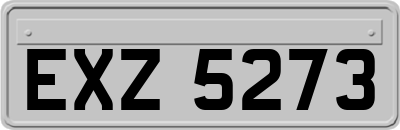EXZ5273