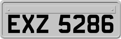 EXZ5286