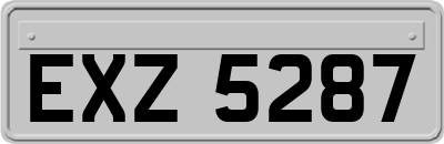 EXZ5287