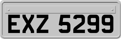 EXZ5299
