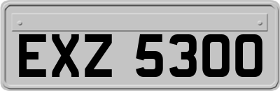 EXZ5300