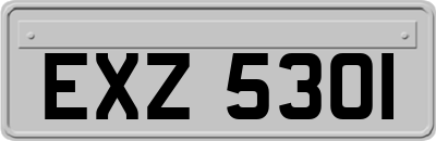 EXZ5301