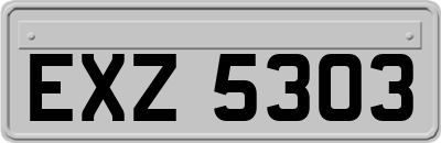 EXZ5303