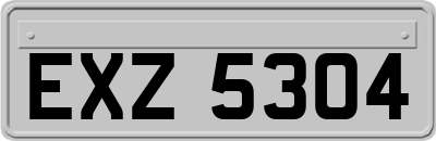 EXZ5304