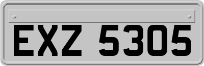 EXZ5305