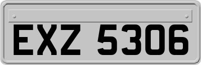 EXZ5306
