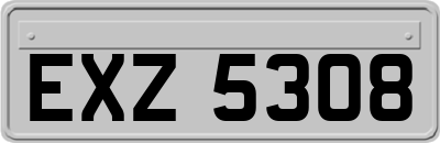 EXZ5308