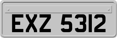EXZ5312
