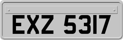 EXZ5317