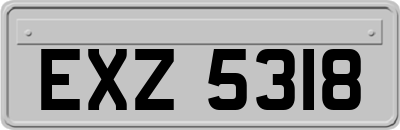 EXZ5318